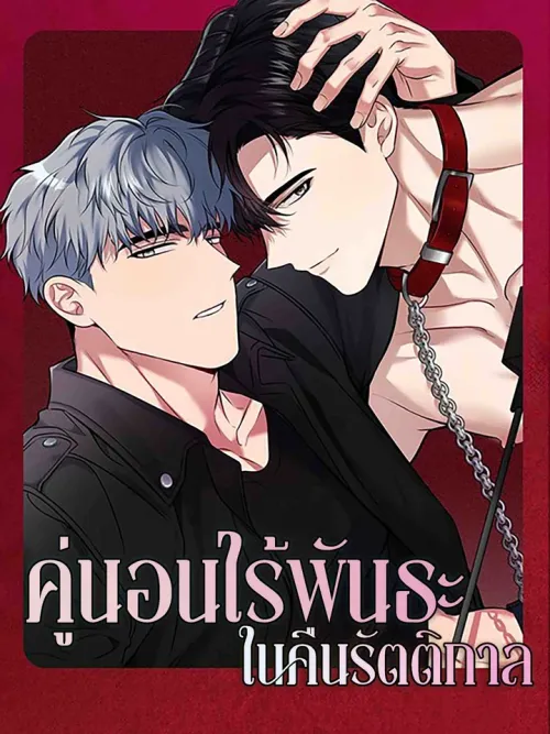 Non-binding Partner on a Midnight Night - คู่นอนไร้พันธะในคืนรัตติกาล