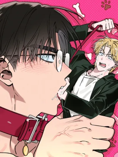 From Stray to Stay / 개과천선은 어려워