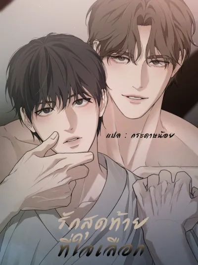 The Last Love I Choose - รักสุดท้ายที่ใจเลือก